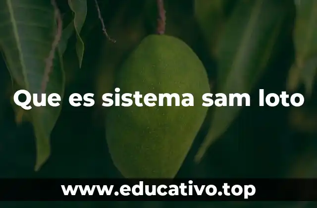 Que es sistema sam loto