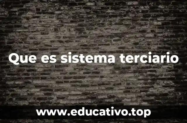 Que es sistema terciario