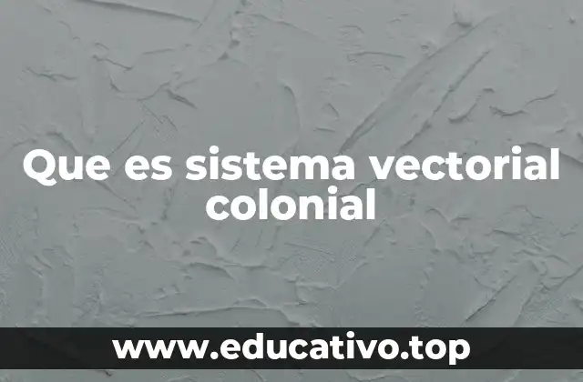 Que es sistema vectorial colonial