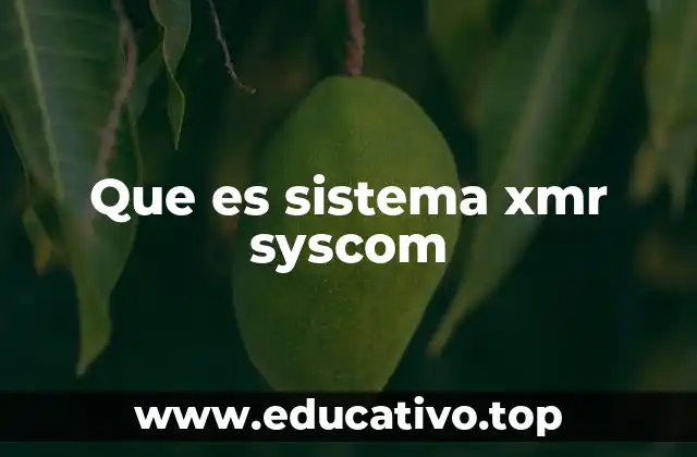 Que es sistema xmr syscom