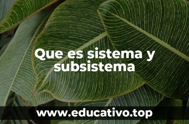 Que es sistema y subsistema