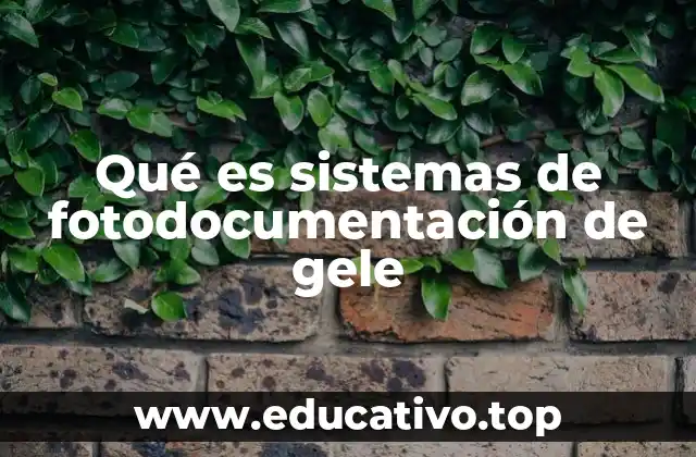 Qué es sistemas de fotodocumentación de gele