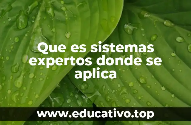 Que es sistemas expertos donde se aplica