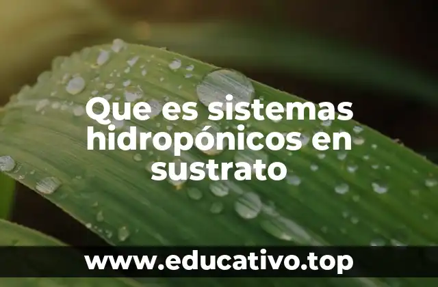 Cómo funcionan los sistemas de cultivo con sustrato