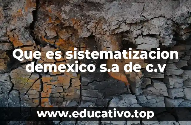 Que es sistematizacion demexico s.a de c.v