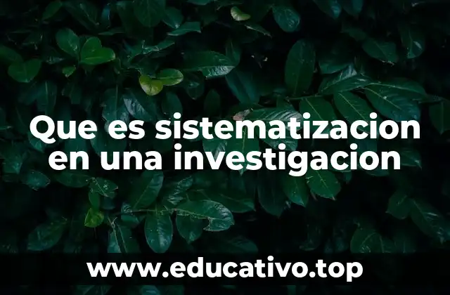 Que es sistematizacion en una investigacion