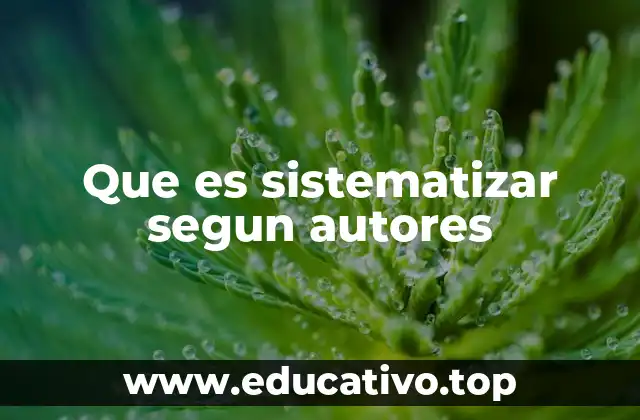 Que es sistematizar segun autores