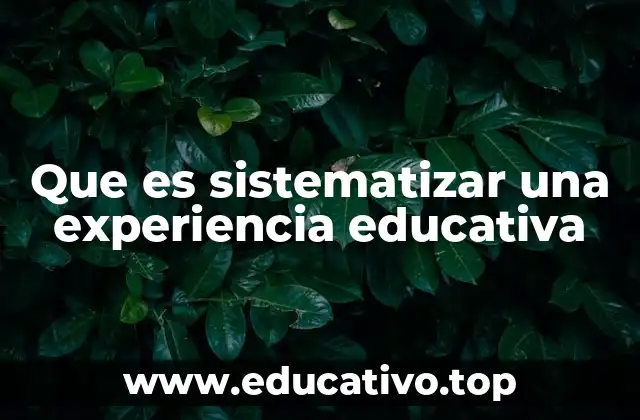 Que es sistematizar una experiencia educativa