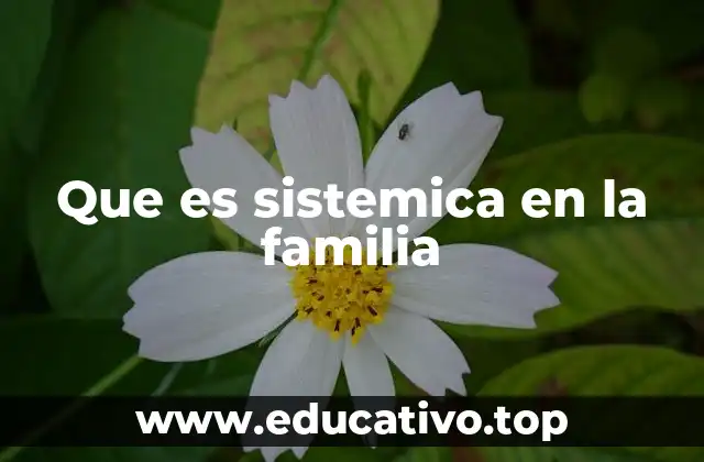 Que es sistemica en la familia