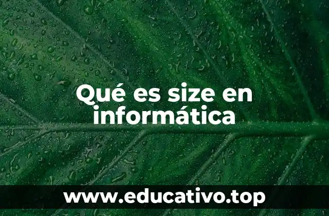 El rol del tamaño en la gestión de datos