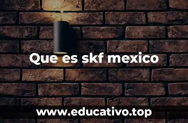 Que es skf mexico