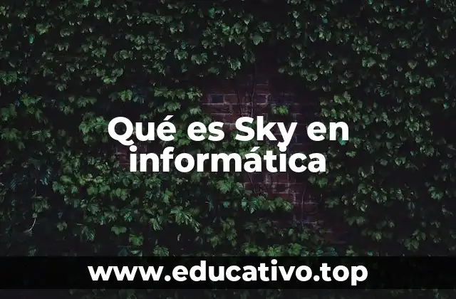 Qué es Sky en informática