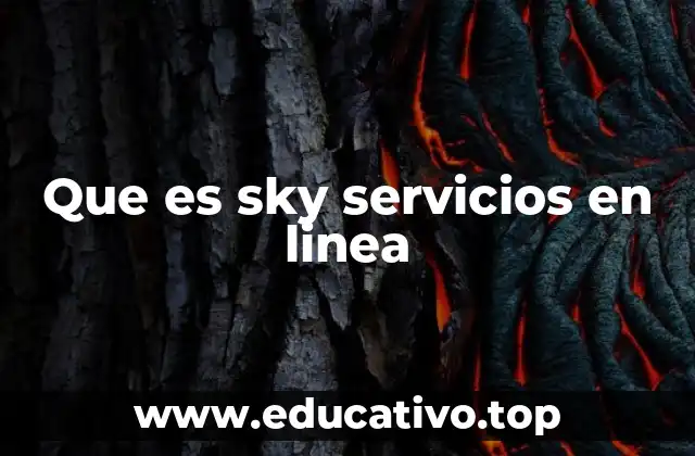 Que es sky servicios en linea