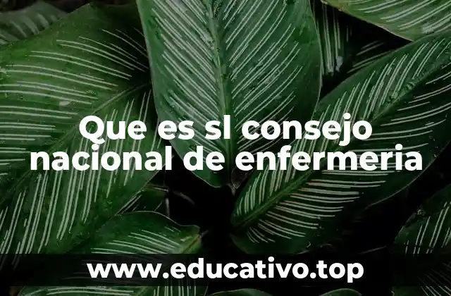 Que es sl consejo nacional de enfermeria