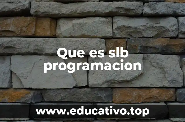 Que es slb programacion
