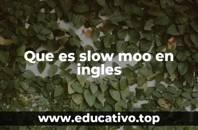 Que es slow moo en ingles