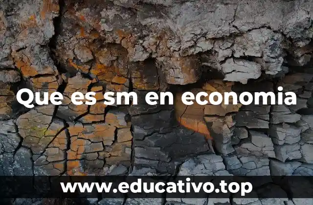 Que es sm en economia