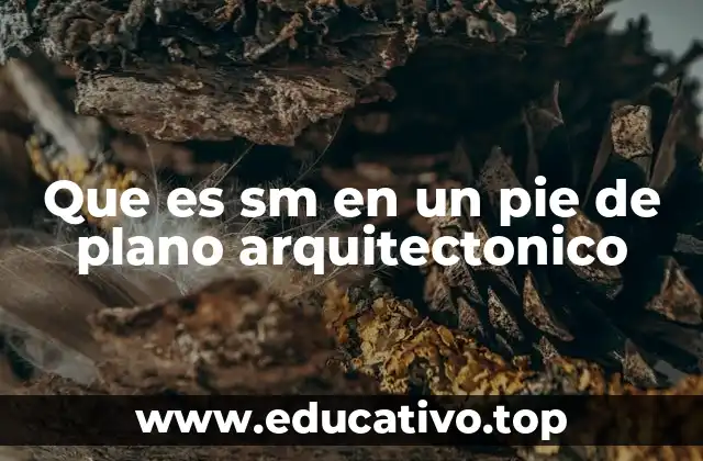 Que es sm en un pie de plano arquitectonico