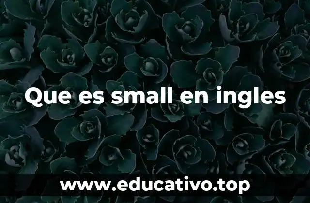 Que es small en ingles