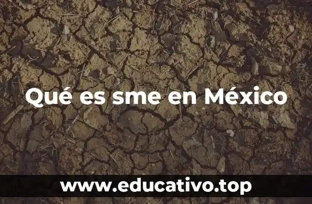 Qué es sme en México