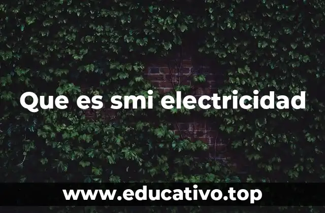 Que es smi electricidad