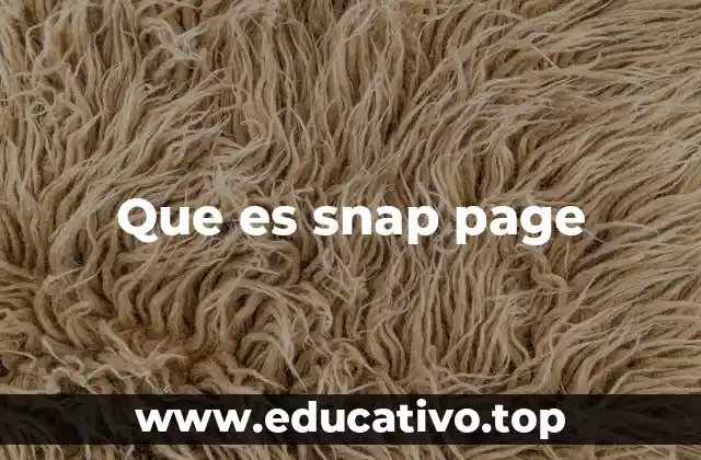 Que es snap page