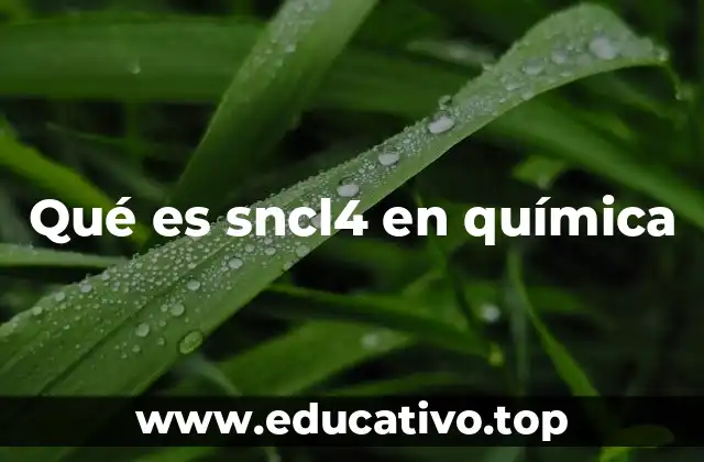 Qué es sncl4 en química