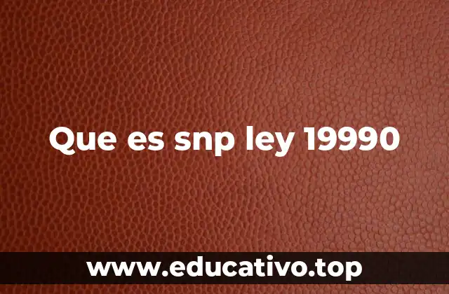 Que es snp ley 19990