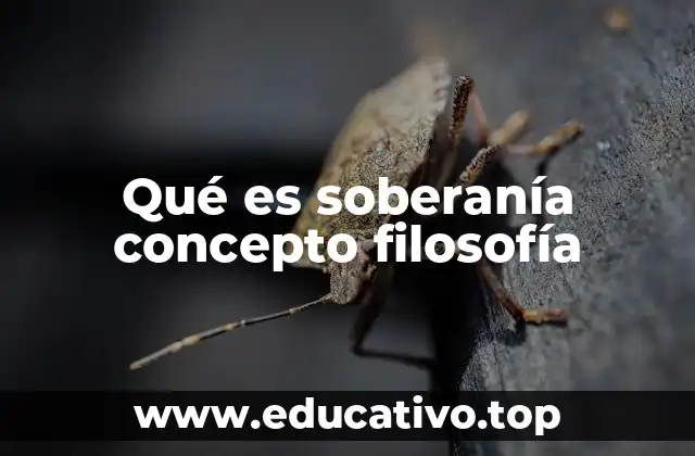 Qué es soberanía concepto filosofía
