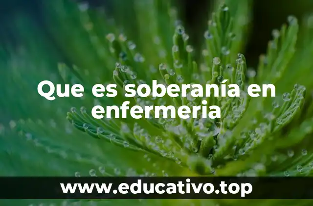 Que es soberanía en enfermeria