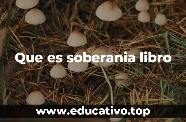 Que es soberania libro
