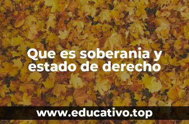Que es soberania y estado de derecho