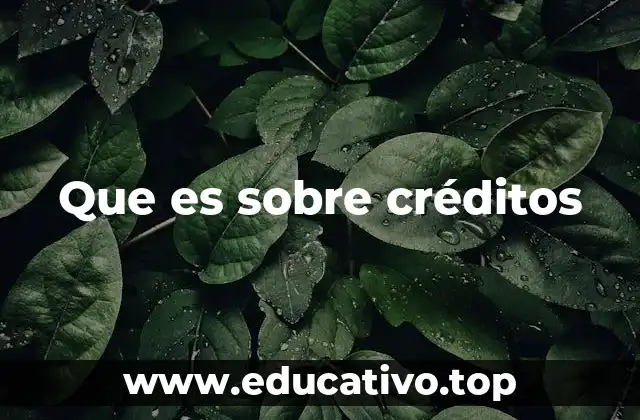 Que es sobre créditos