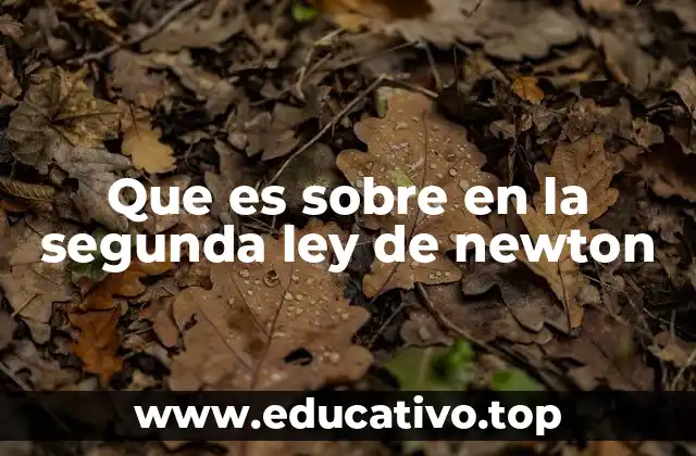 Que es sobre en la segunda ley de newton
