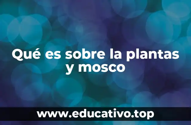 Qué es sobre la plantas y mosco