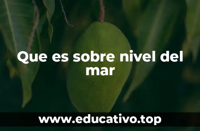 El nivel del mar como referencia universal