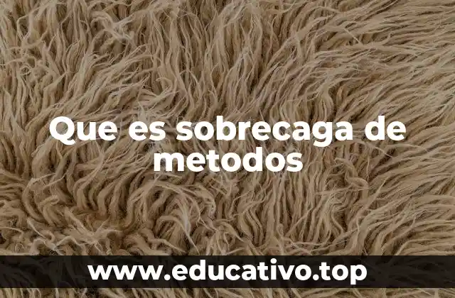 Que es sobrecaga de metodos