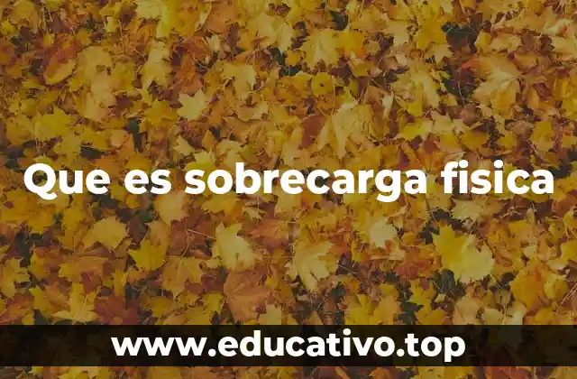 Que es sobrecarga fisica