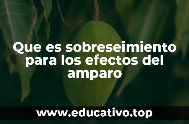 Que es sobreseimiento para los efectos del amparo