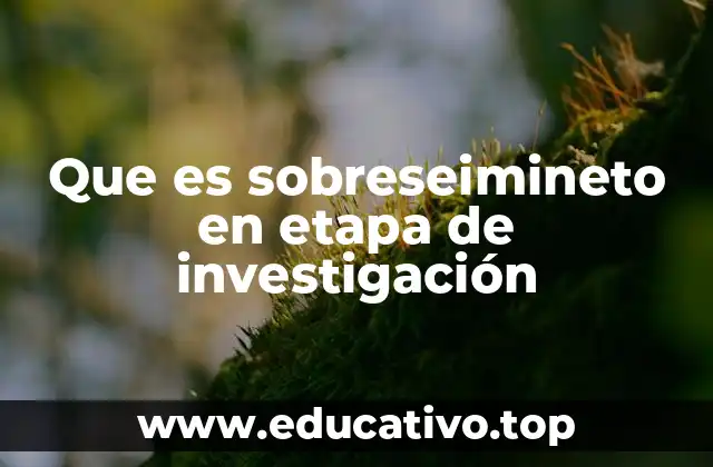 Que es sobreseimineto en etapa de investigación
