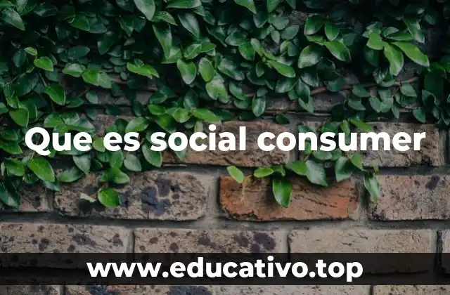 Que es social consumer