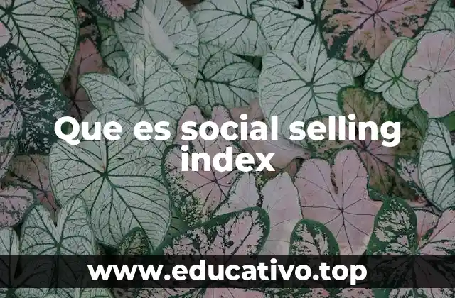 Que es social selling index