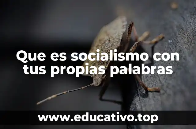 Que es socialismo con tus propias palabras