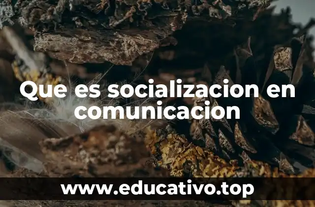 Que es socializacion en comunicacion