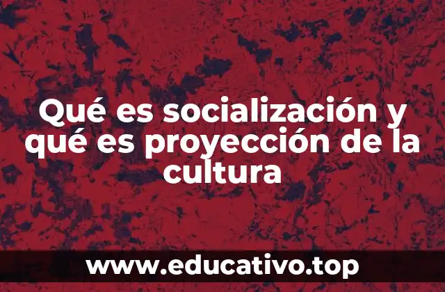 Qué es socialización y qué es proyección de la cultura