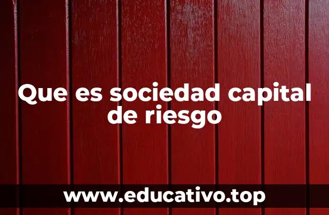El papel de las sociedades de capital de riesgo en el ecosistema emprendedor
