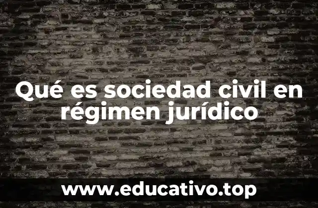 Qué es sociedad civil en régimen jurídico