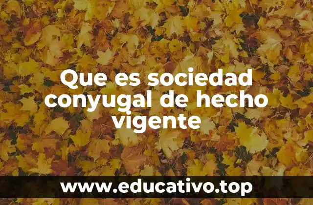 Que es sociedad conyugal de hecho vigente