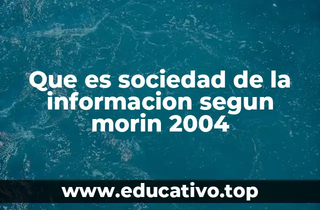 Que es sociedad de la informacion segun morin 2004