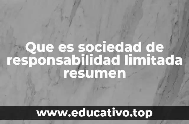 Características principales de la sociedad de responsabilidad limitada